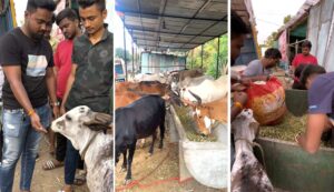 एकता मित्र मंडळाच्या वतीने संकष्टी चतुर्थीला गोसेवा अन्नदान!
